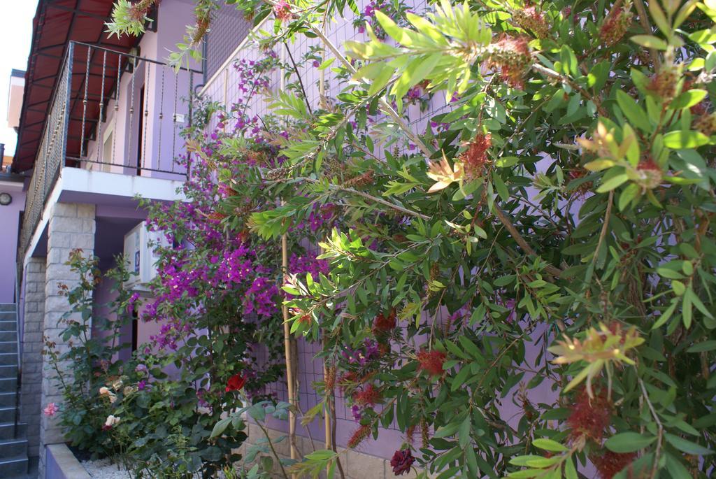 بيشكانا أوفالا Aparthotel Viola الغرفة الصورة