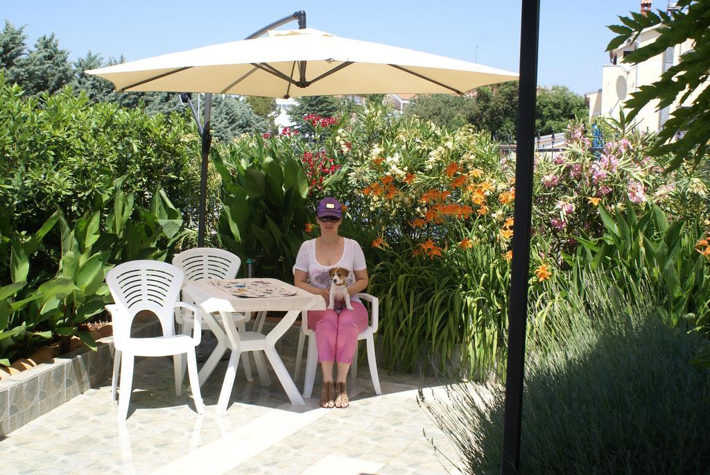 بيشكانا أوفالا Aparthotel Viola الغرفة الصورة