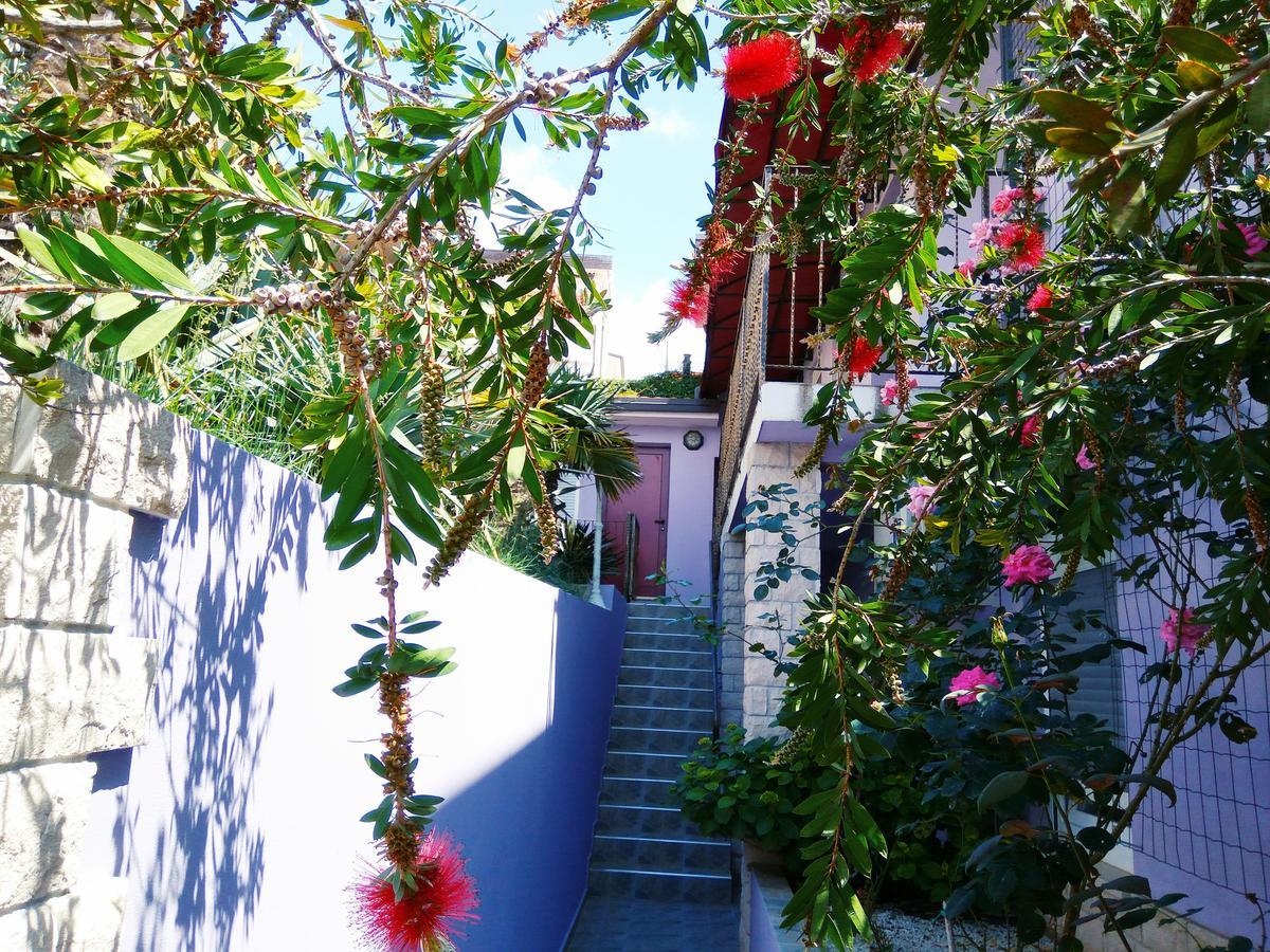 بيشكانا أوفالا Aparthotel Viola المظهر الخارجي الصورة